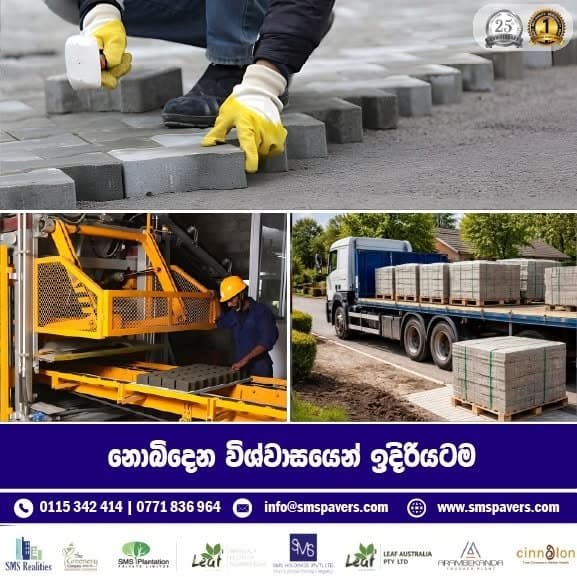 SMS Holdings – image 6